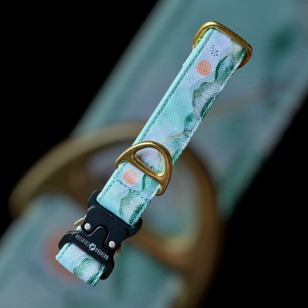 Collier Taille S - Clip sécu 25mm