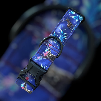 Collier Taille M - Clip plastique 38mm