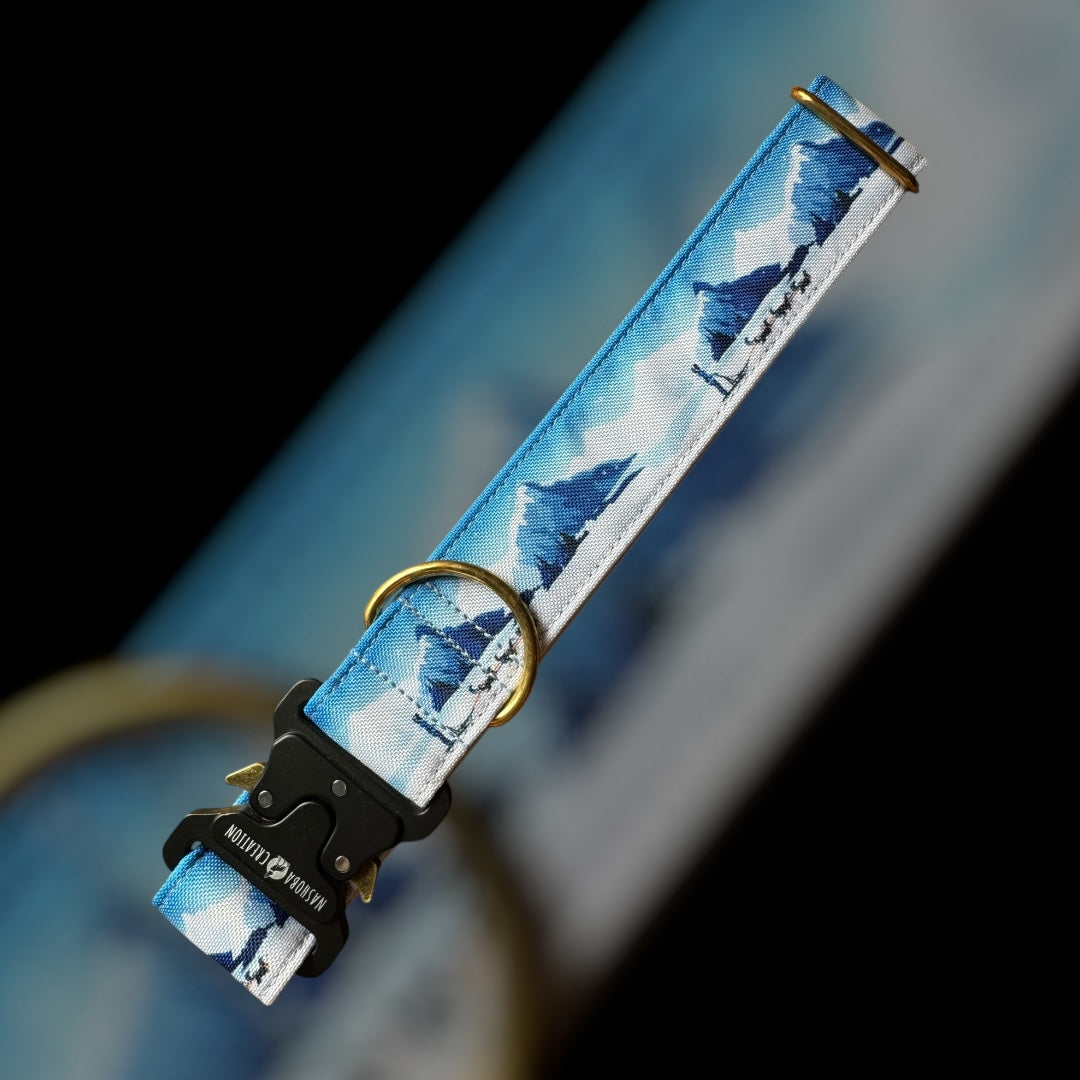 Collier Taille L - Clip sécu 38mm