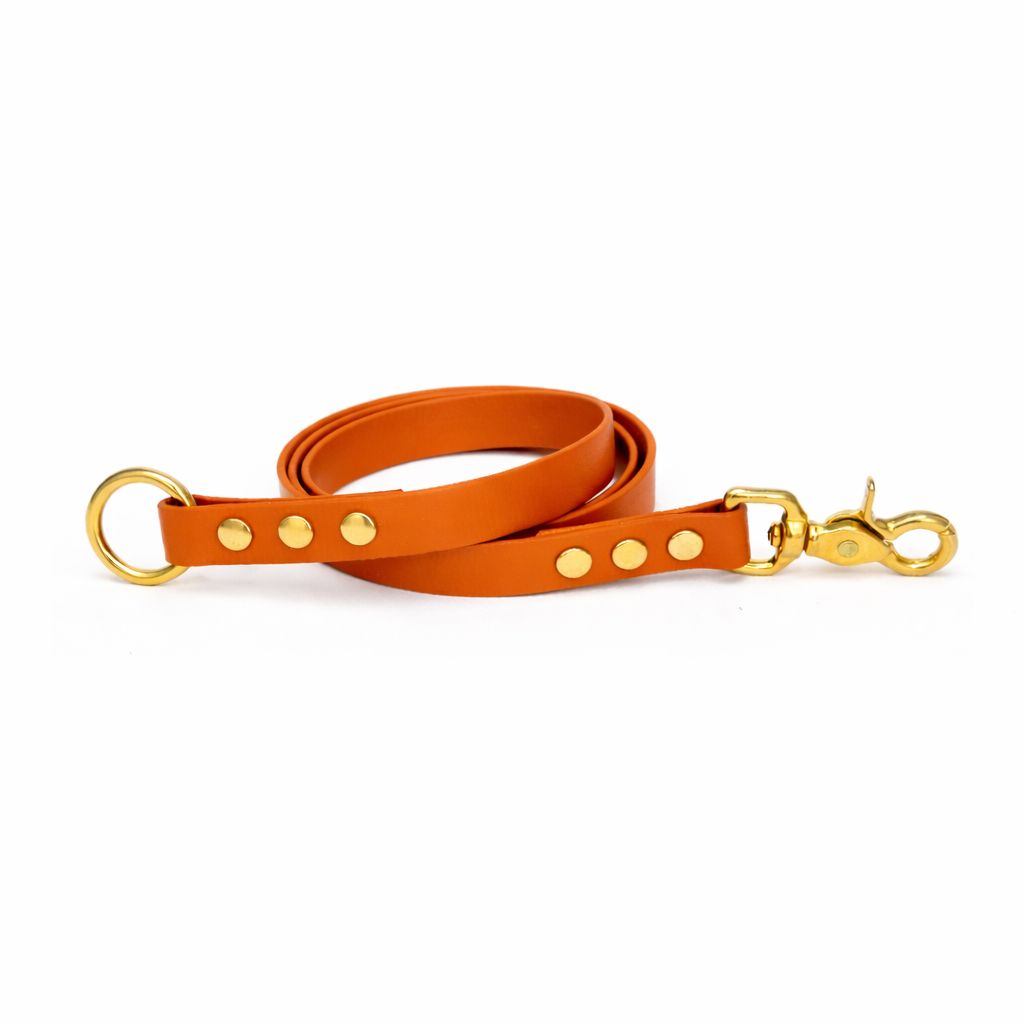 Laisse amovible en biothane® - Orange