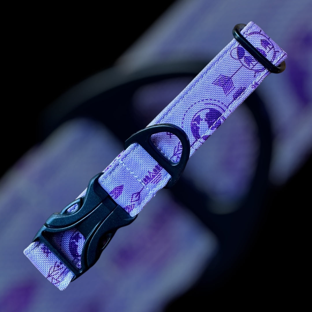 Collier Taille S - Clip plastique 25mm