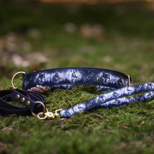 Collier pour chien - Totem Loup