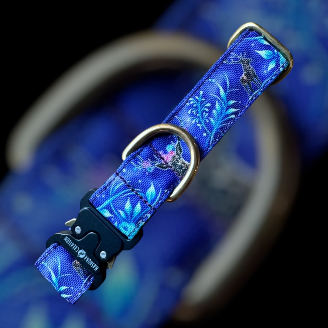 Collier Taille S - Clip sécu 25mm