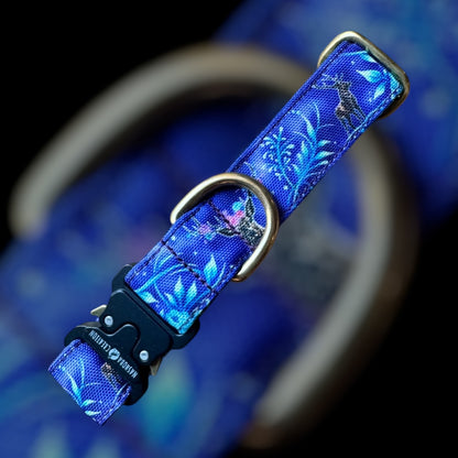 Collier Taille S - Clip sécu 25mm