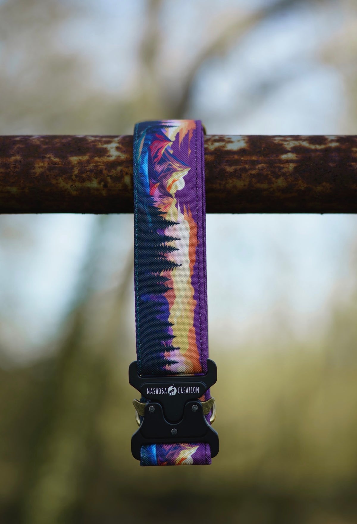 Collier pour chien - Amber Valley