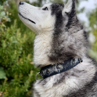 Collier pour chien - Totem Loup