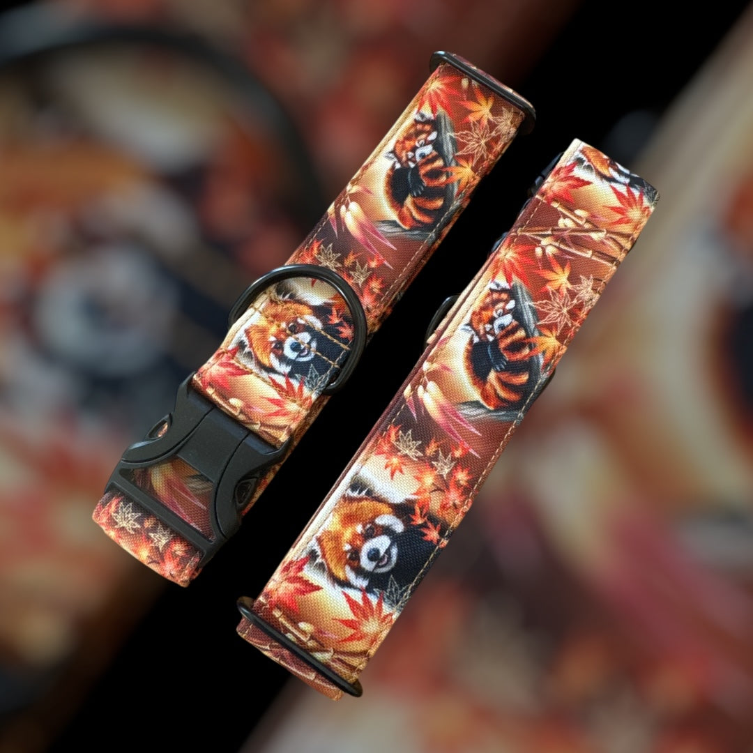 Collier Taille M - Clip plastique 38mm