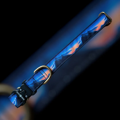 Collier Taille L - Clip sécu 25mm