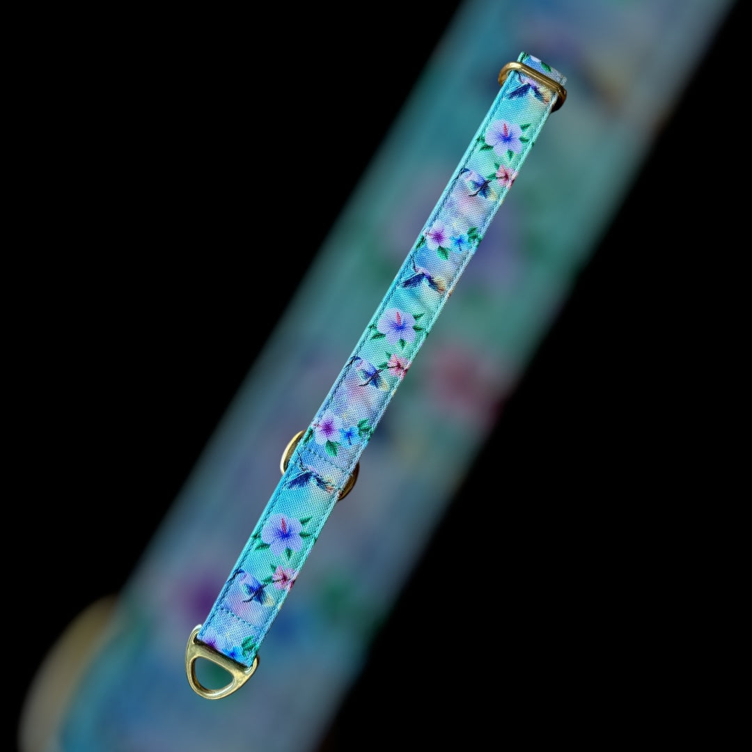 Martingale Taille M - 25mm