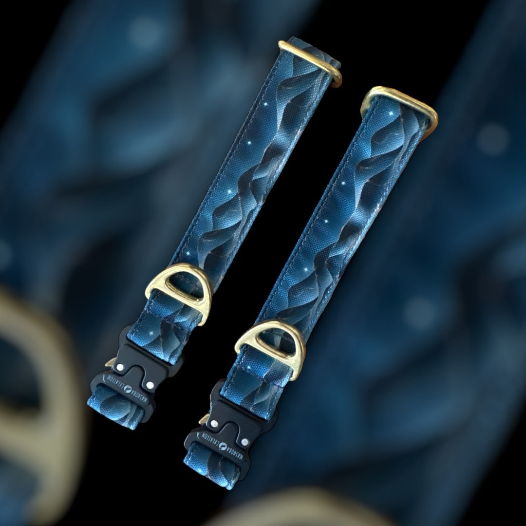 Collier Taille M - Clip sécu 25mm