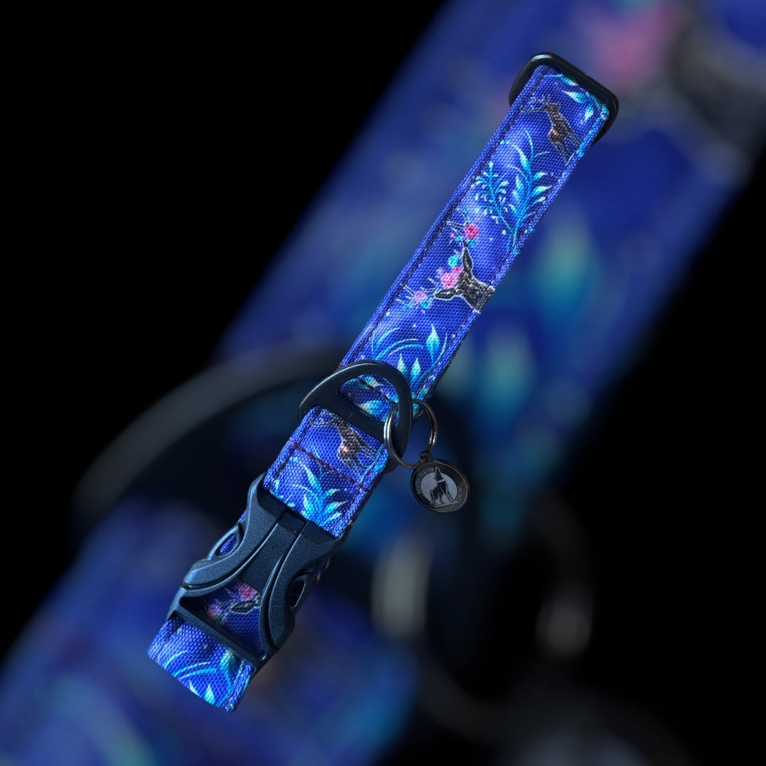 Collier Taille M - Clip plastique 25mm