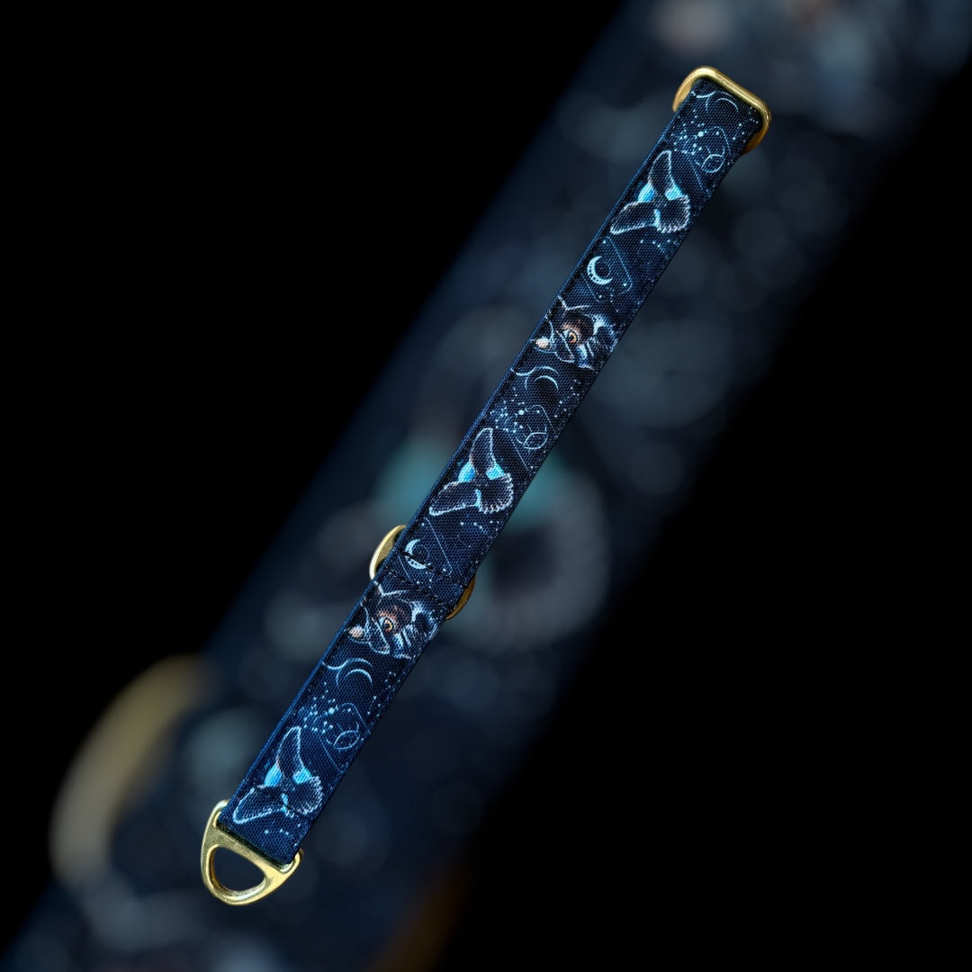 Martingale Taille M - 25mm