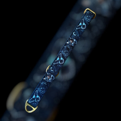 Martingale Taille M - 25mm