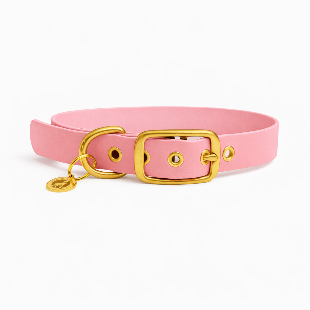 Collier en biothane® - Rose