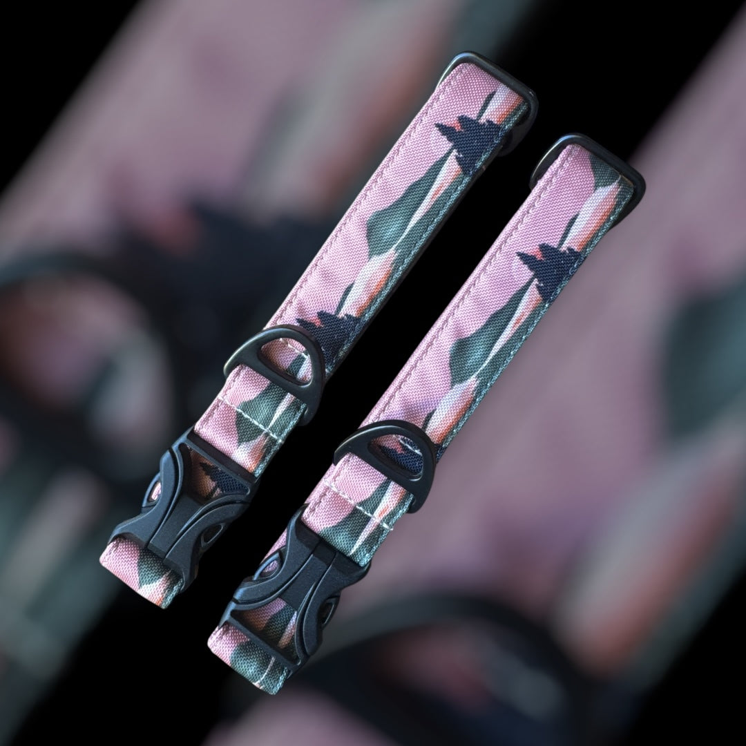 Collier Taille M - Clip plastique 25mm