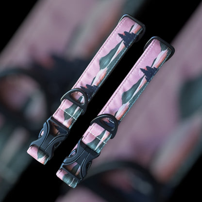 Collier Taille M - Clip plastique 25mm