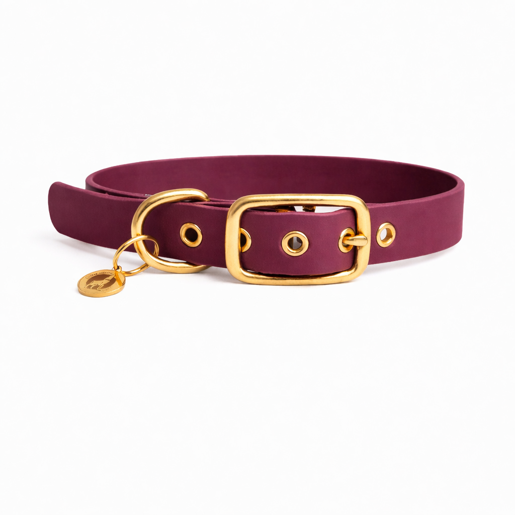 Collier en biothane® - Bordeaux