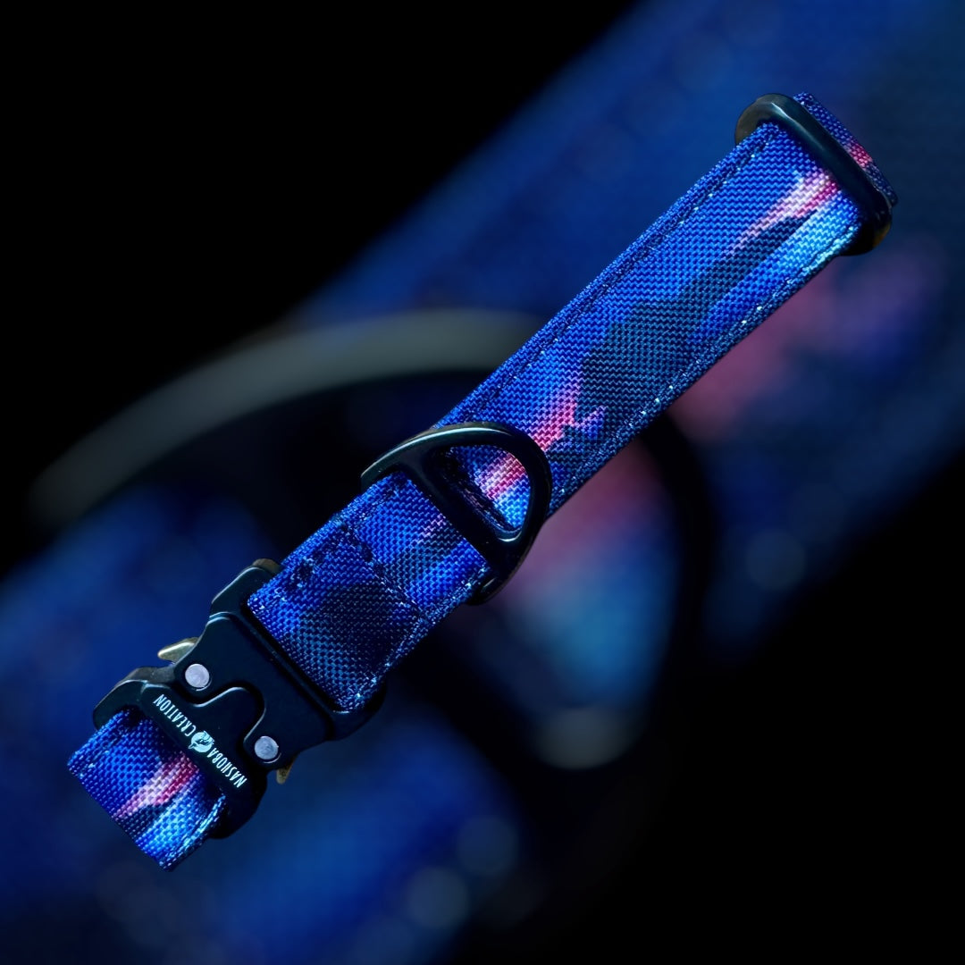 Collier Taille S - CLIP sécu 20mm
