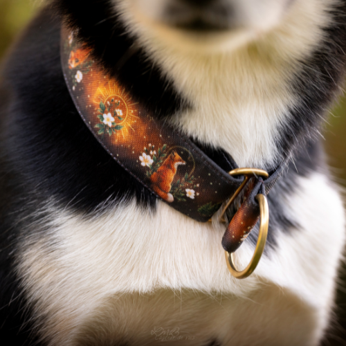 Collier pour chien – Totem Renard