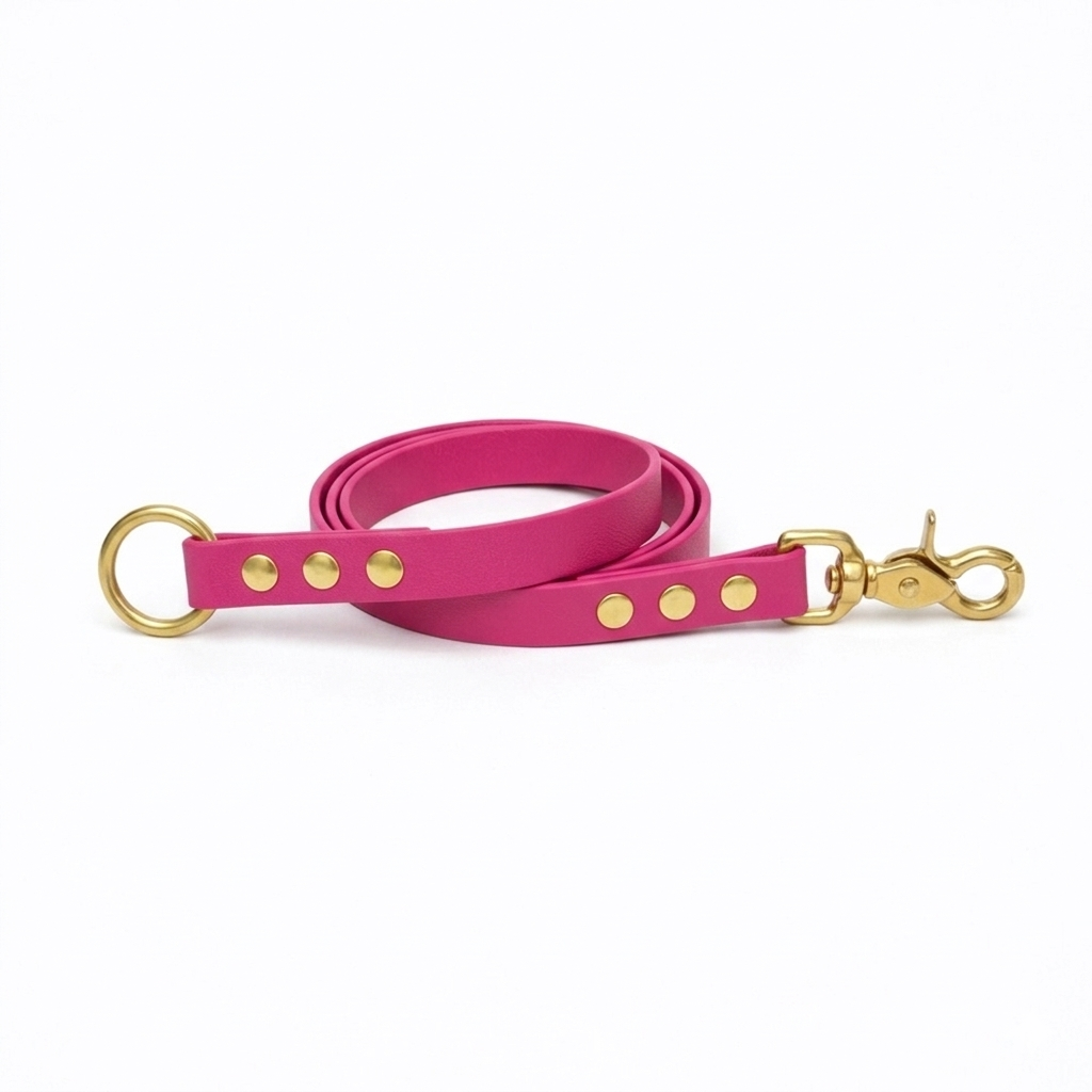 Laisse amovible en biothane® - Passion