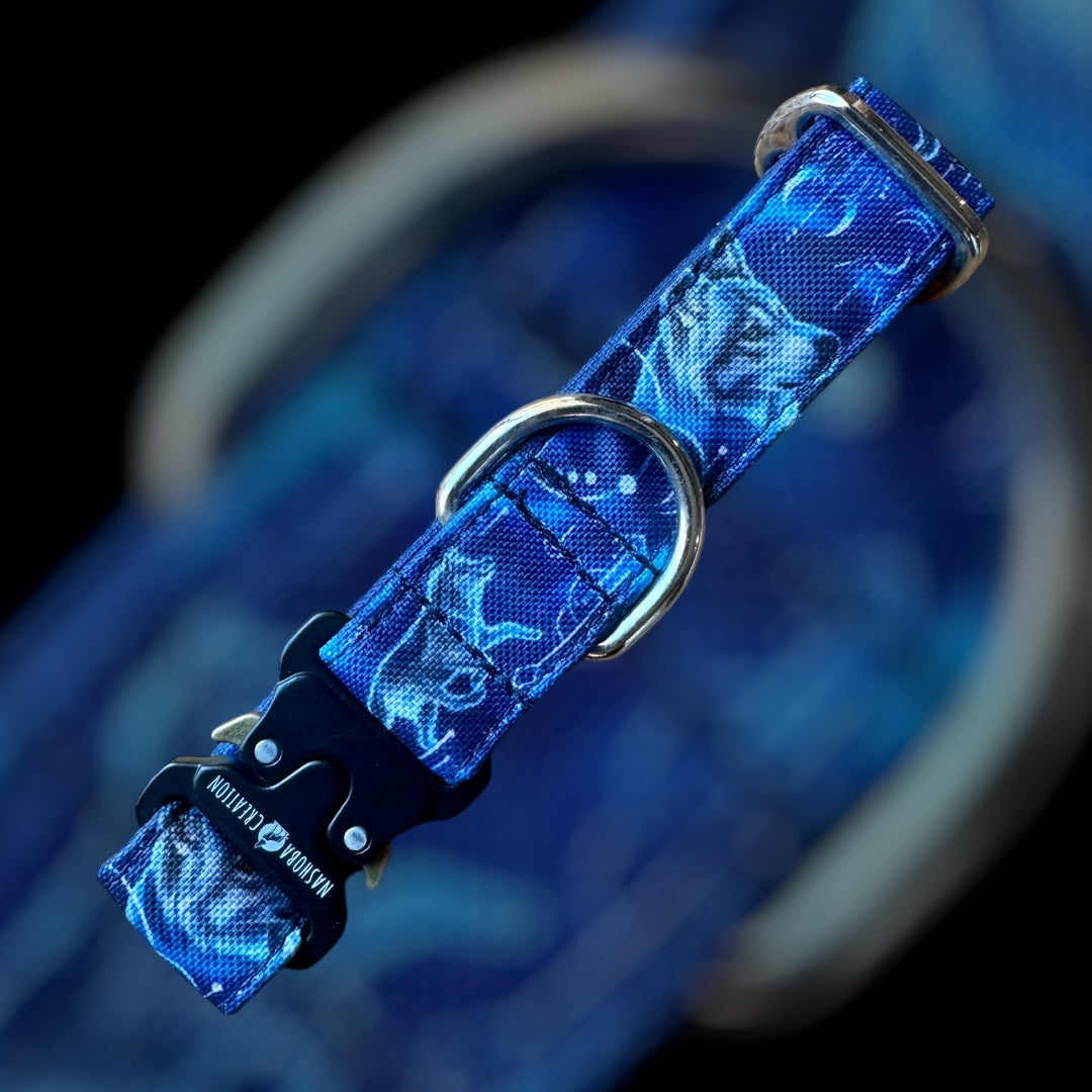 Collier Taille S - Clip sécu 25mm