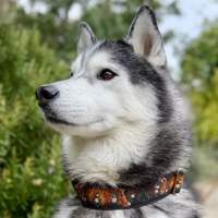 Collier pour chien – Totem Renard