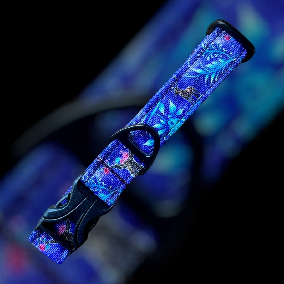 Collier Taille S - CLIP plastique 20mm