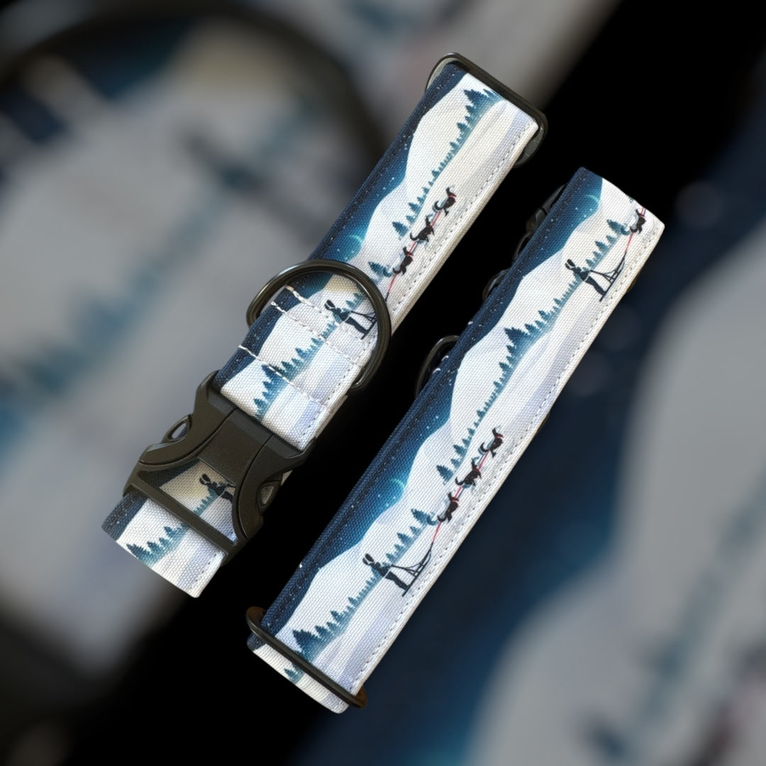 Collier Taille M - Clip plastique 38mm