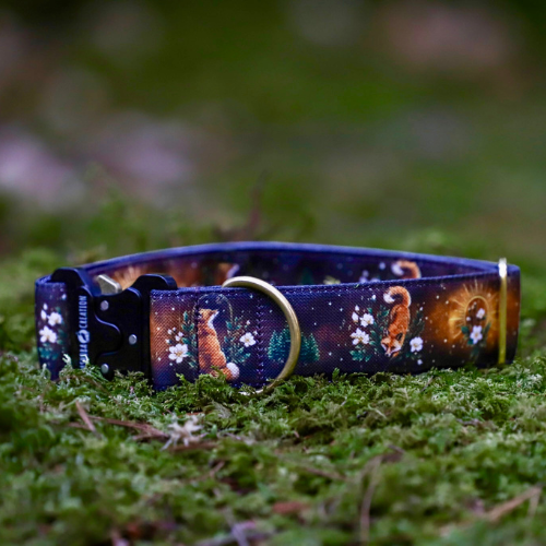 Collier pour chien – Totem Renard