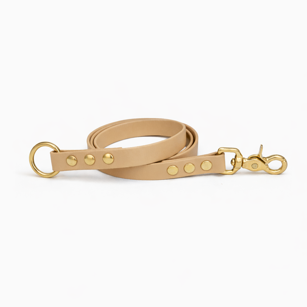 Laisse amovible en biothane® - Beige doré
