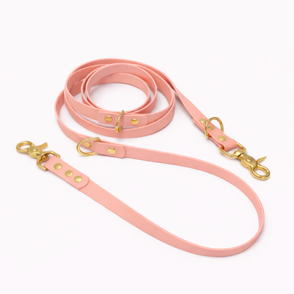 Laisse multipositions en biothane® - Rose Or