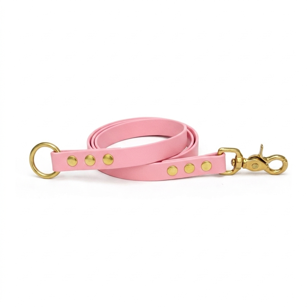 Laisse amovible en biothane® - Rose