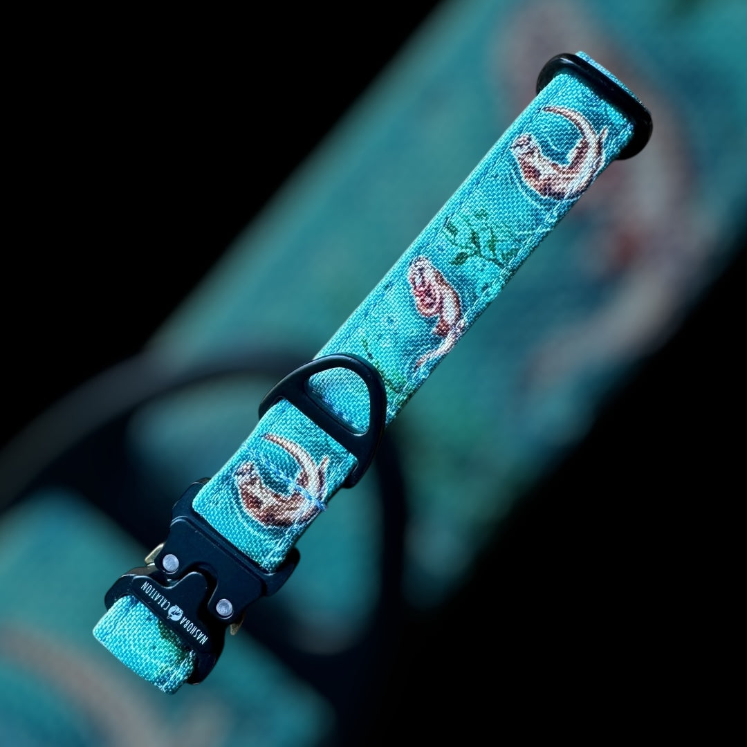 Collier Taille S - CLIP sécu 20mm