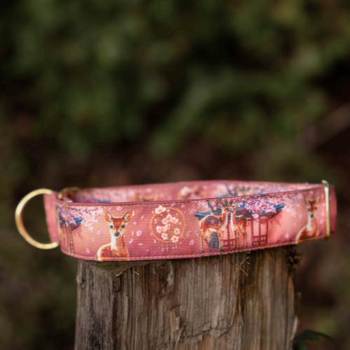Collier pour chien - Totem Cerf Sika