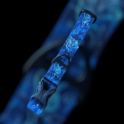 Collier Taille M - Clip plastique 25mm