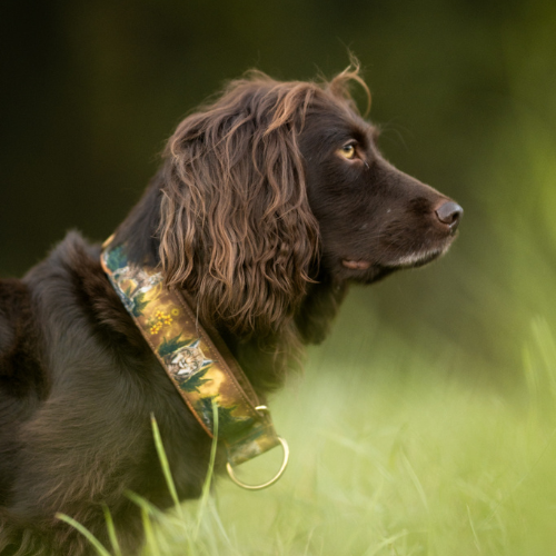 Collier pour chien – Totem Lynx
