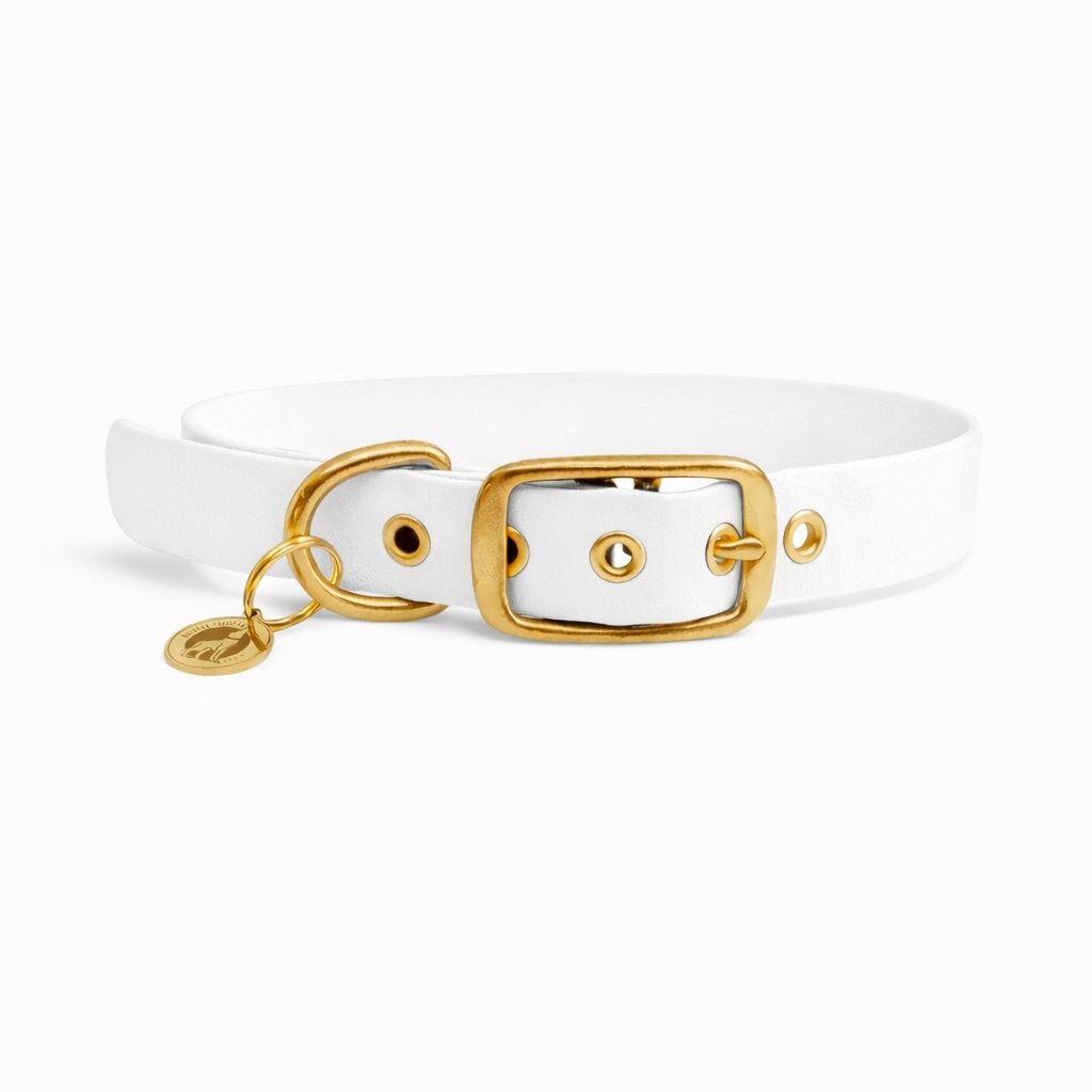 Collier en biothane® - Blanc