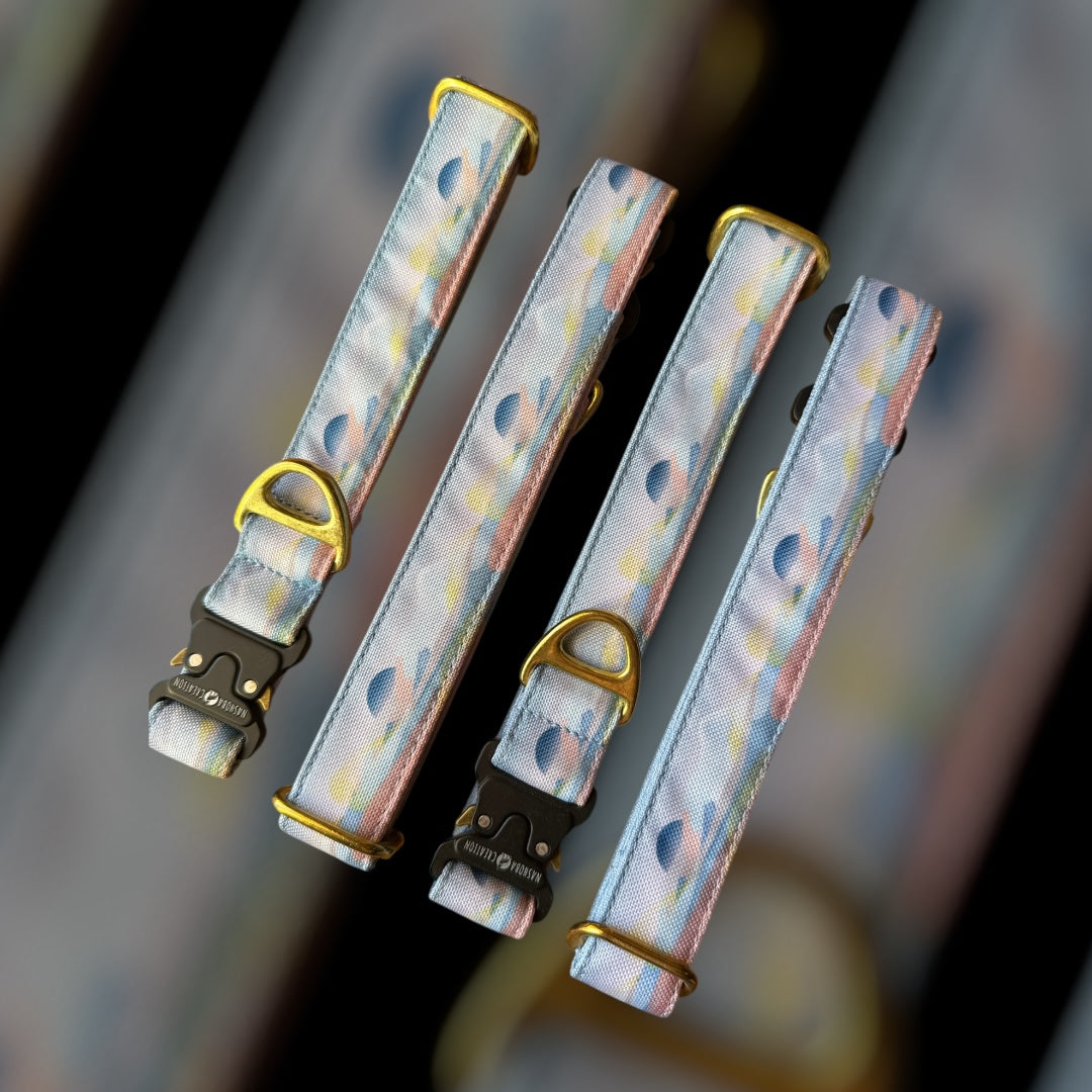 Collier Taille M - Clip sécu 25mm