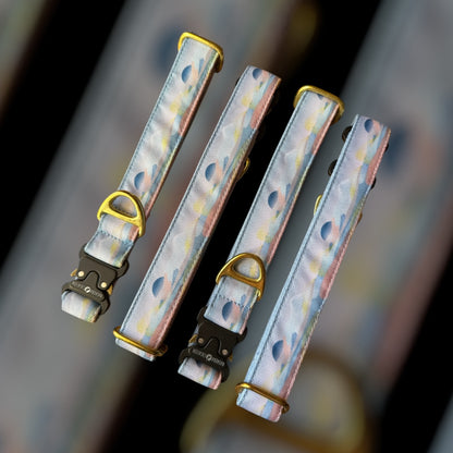 Collier Taille M - Clip sécu 25mm