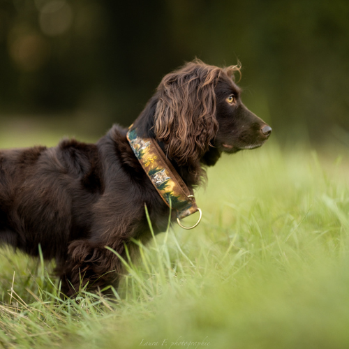 Collier pour chien – Totem Lynx