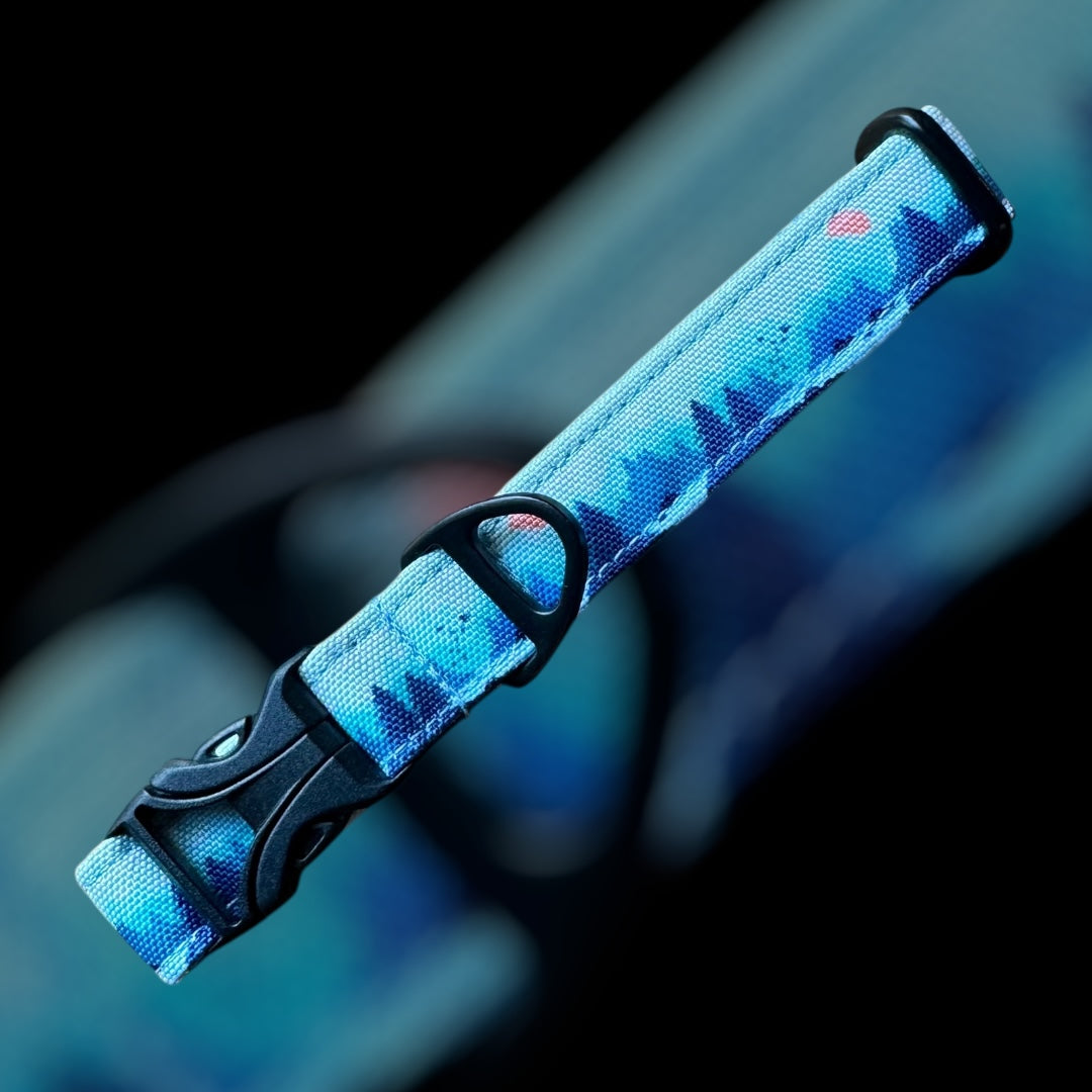 Collier Taille S - CLIP plastique 20mm