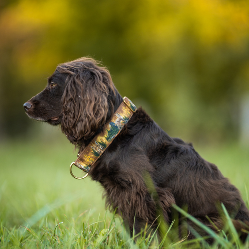 Collier pour chien – Totem Lynx