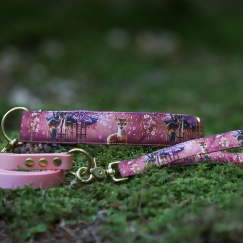 Collier pour chien - Totem Cerf Sika