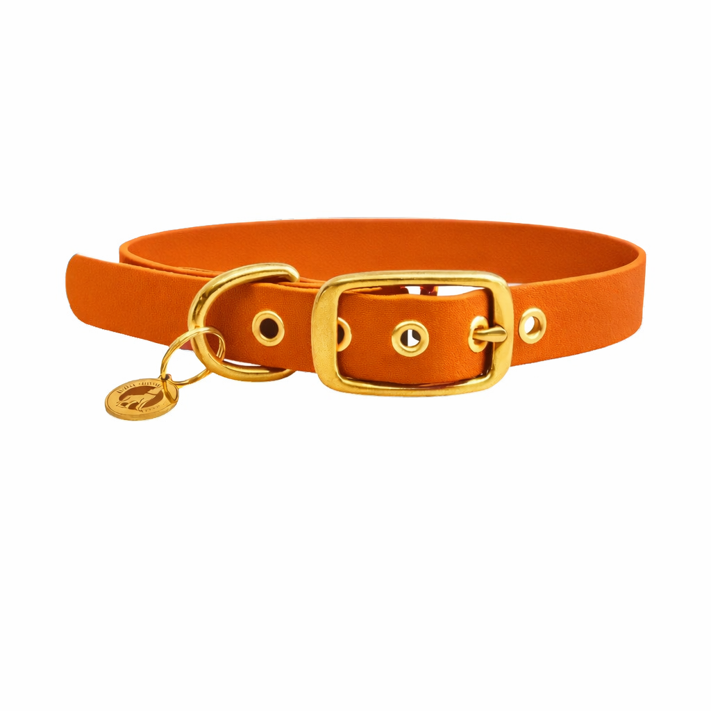 Collier en biothane® - Orange
