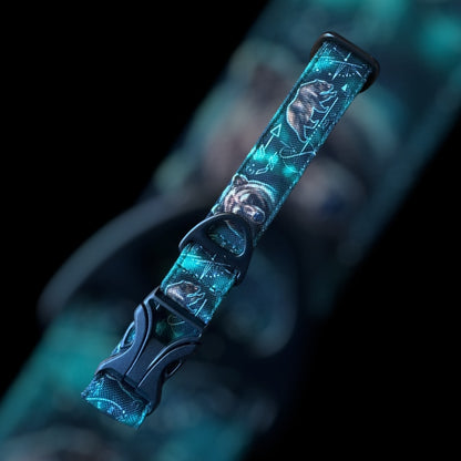 Collier Taille M - Clip plastique 25mm