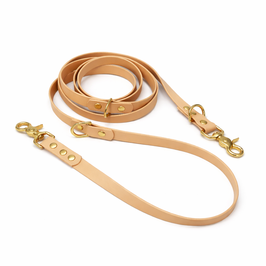 Laisse multipositions en biothane® - Beige doré