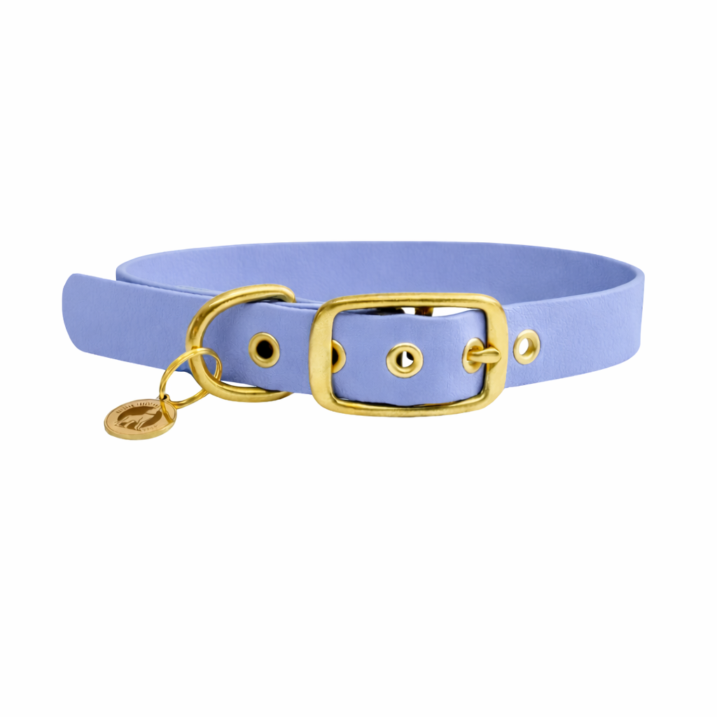 Collier en biothane® - Lavande