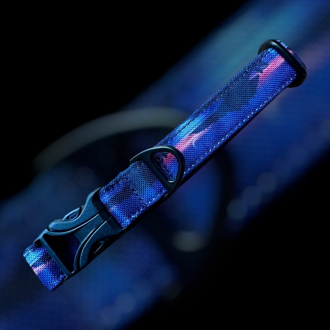 Collier Taille S - CLIP plastique 20mm