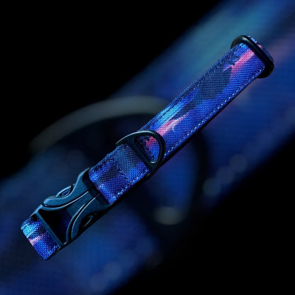 Collier Taille S - CLIP plastique 20mm