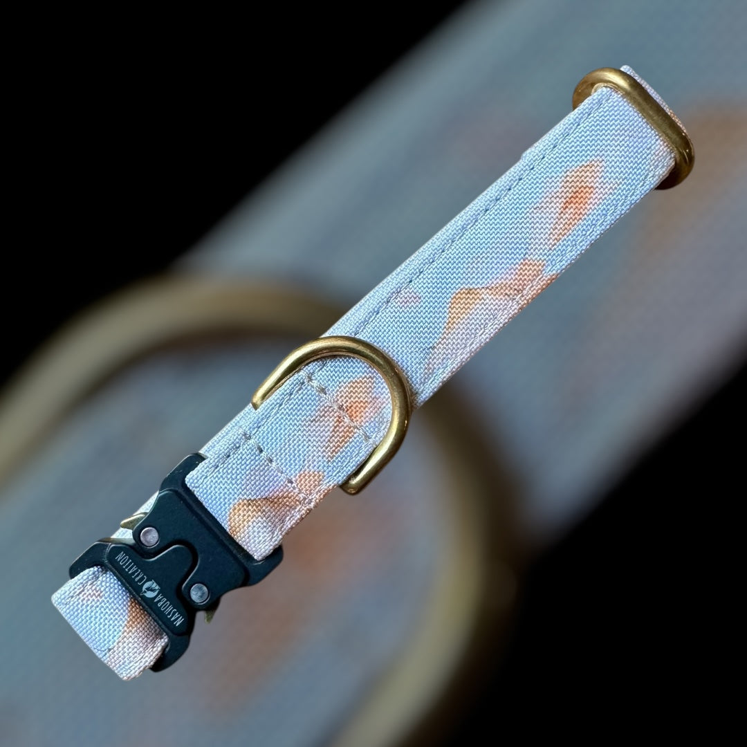 Collier Taille S - CLIP sécu 20mm